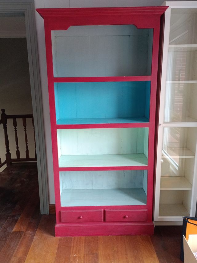 Librería de teka multicolor pintada a mano.