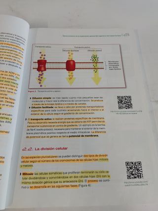 Anatomofisiología y Patología Básicas - 9788492977543