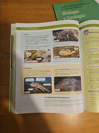 BIOLOGIA Y GEOLOGIA MADRID 1 ESO CONSTRUYENDO M...