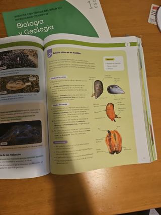 BIOLOGIA Y GEOLOGIA MADRID 1 ESO CONSTRUYENDO M...