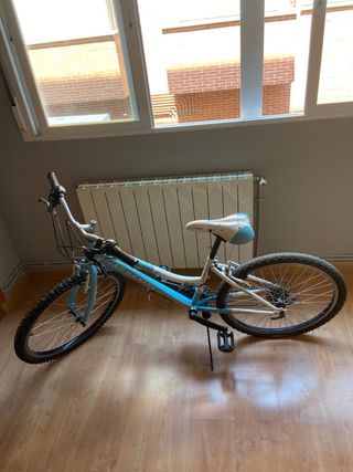 Bicicleta JL Wentj Modelo Aydra