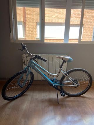 Bicicleta JL Wentj Modelo Aydra