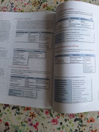 LENGUA CASTELLANA Y LITERATURA 2º BACH. (19)