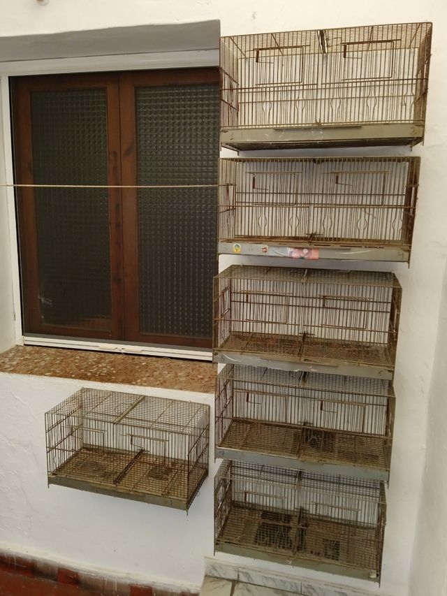 Jaulas pájaros - Gris, marrón