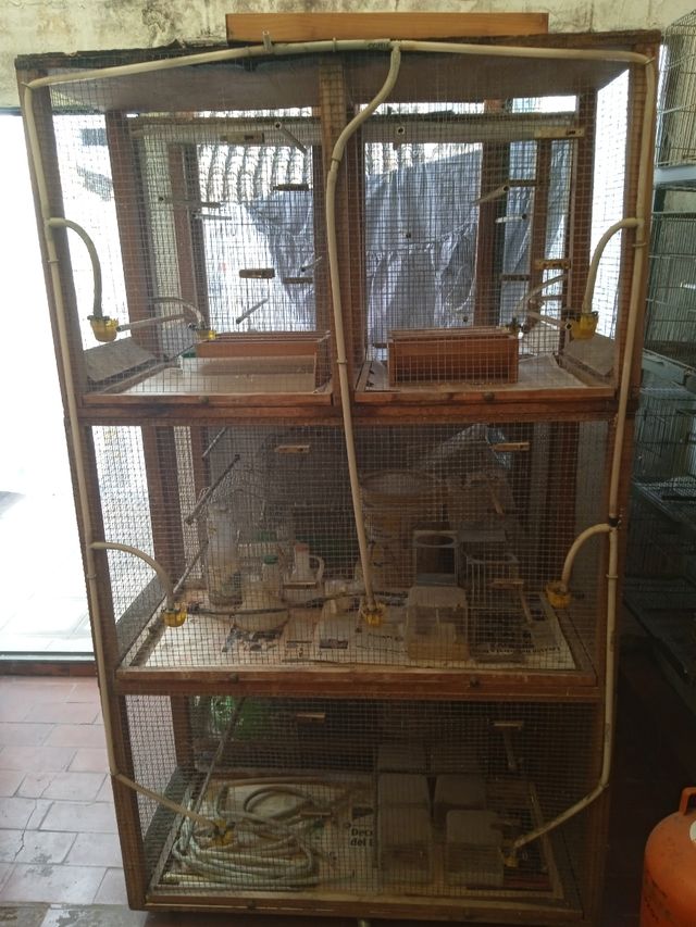 Jaulas pájaros - Gris, marrón