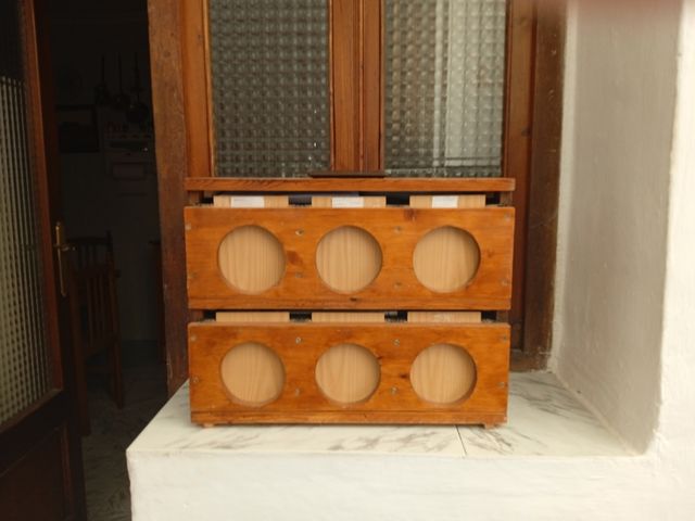 Jaulas pájaros - Gris, marrón