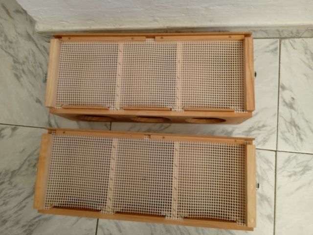 Jaulas pájaros - Gris, marrón