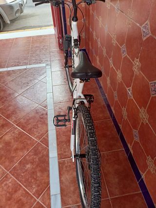 Bicicleta montaña Topbike 60S