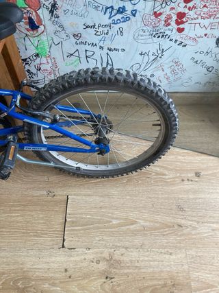 Bicicleta niño 20" azul