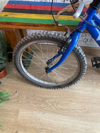 Bicicleta niño 20" azul