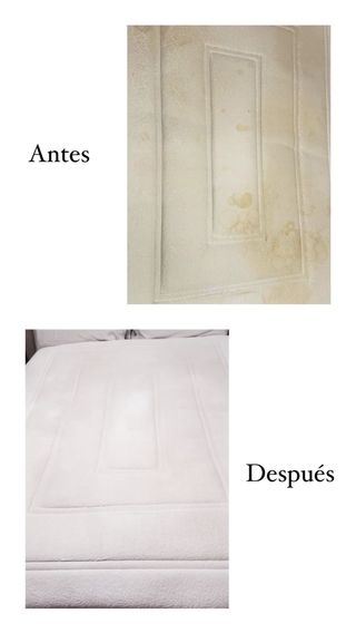 Limpieza de tapicerías Vehículos - Sofás + Regalo