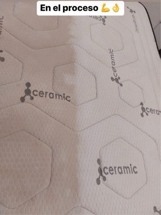 Limpieza de tapicerías Vehículos - Sofás + Regalo