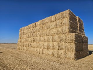 Paja de cebada y trigo