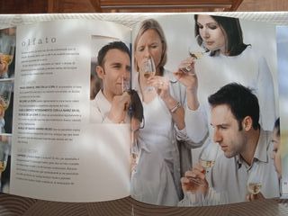 'La cata de vinos' (Libro)