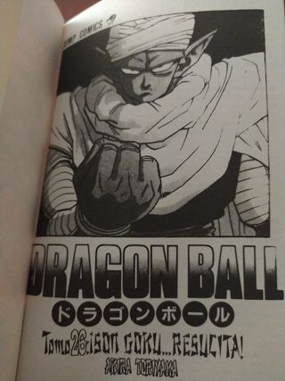 Dragón ball