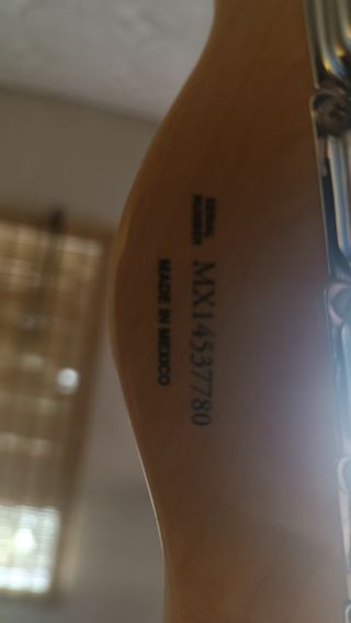 Fender Telecaster Thinline