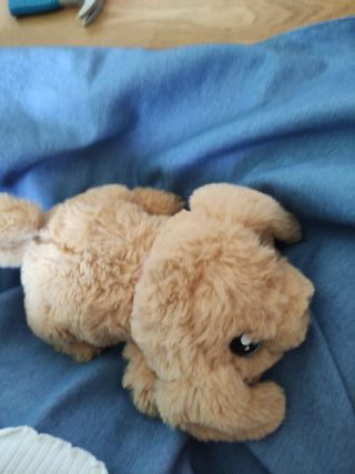 Casa Perrito Juguete