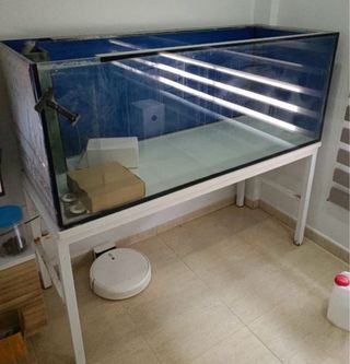 Acuario de 550 litros