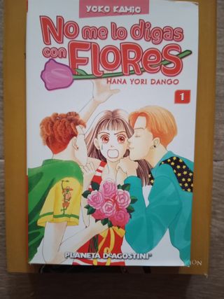 Lote manga