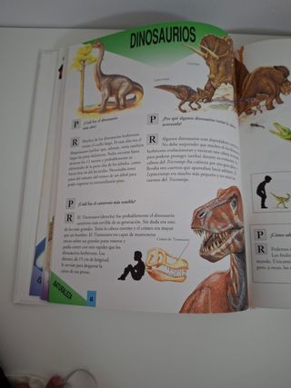 El Gran Libro de Las Preguntas y Respuestas.