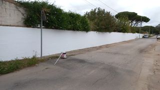 Pintor profesional 