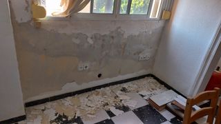 Pintor profesional 
