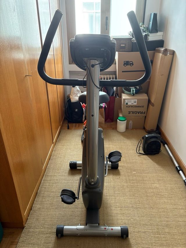 Bicicleta estática BH Rhyno