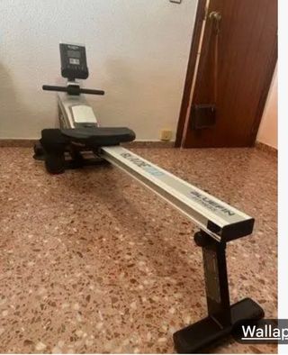 Remo Bluefin Fitness