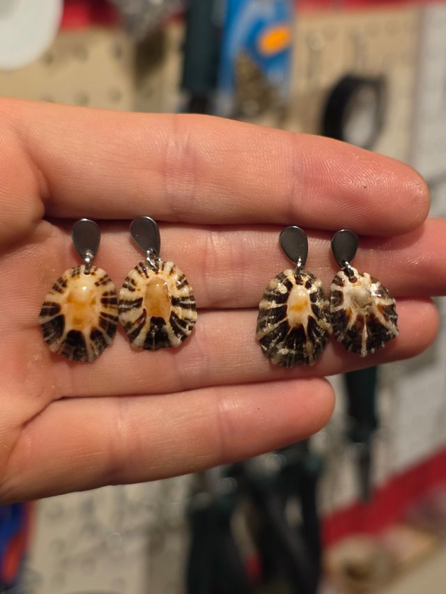 Pendientes de lapa natural de Cantabria