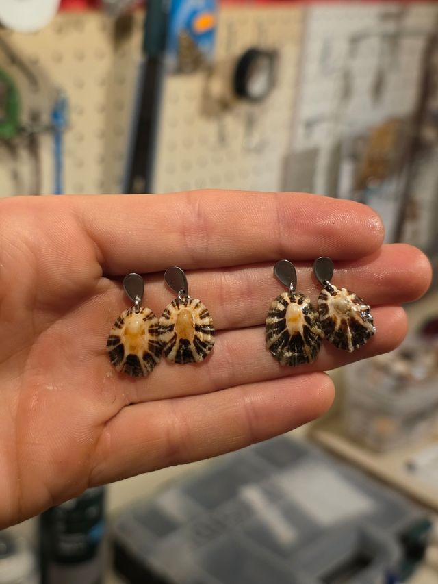 Pendientes de lapa natural de Cantabria