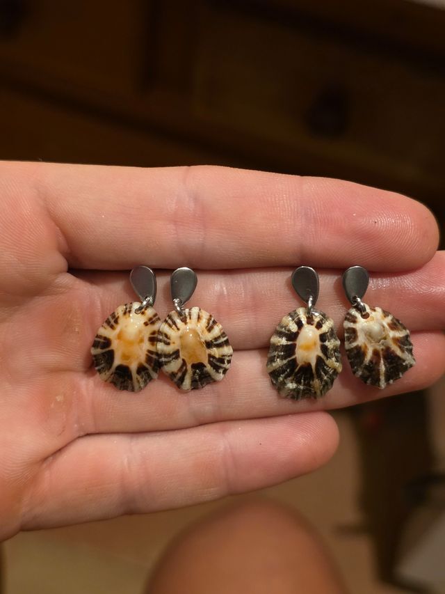 Pendientes de lapa natural de Cantabria