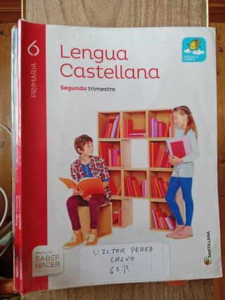 Libros Sexto de Primaria 