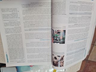 FILOSOFIA 1 (COMUNIDAD EN RED)