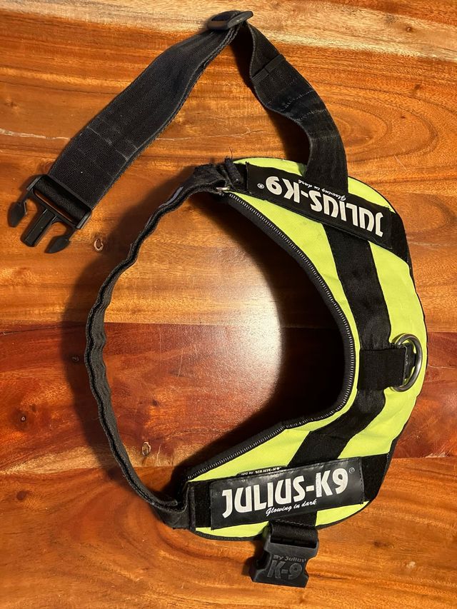 Arnés Julius-K9 amarillo-negro