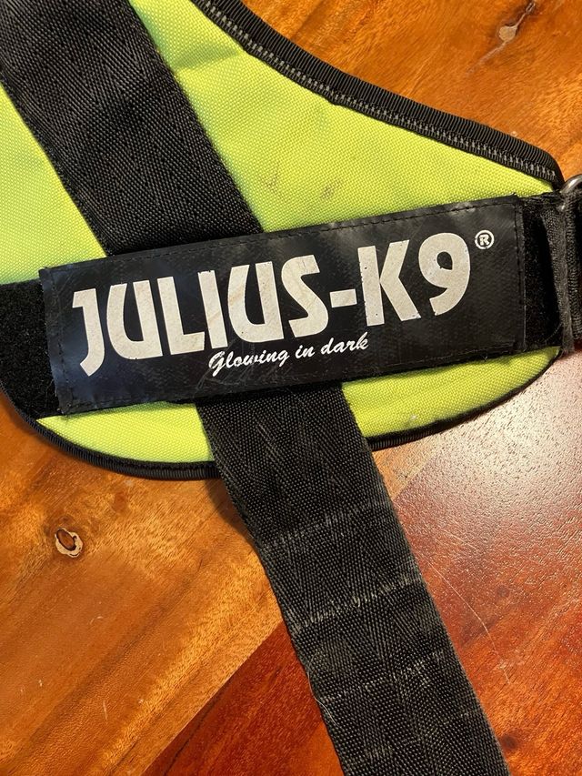 Arnés Julius-K9 amarillo-negro