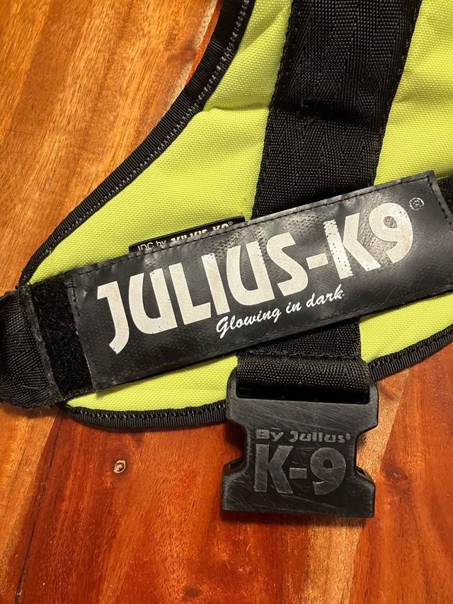 Arnés Julius-K9 amarillo-negro