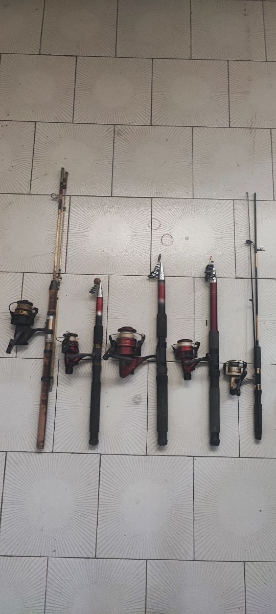 Lote completo pesca
