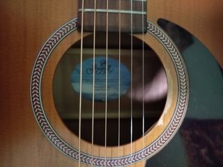 Guitarra Seagull Entourage Rustic