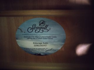 Guitarra Seagull Entourage Rustic