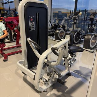 Remo placas gimnasio