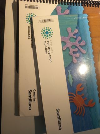 CONOCIMIENTO DEL MEDIO 1 PRIMARIA CONSTRUYENDO ...