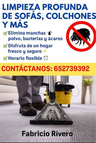 limpieza profesional de tapicerías y sofás