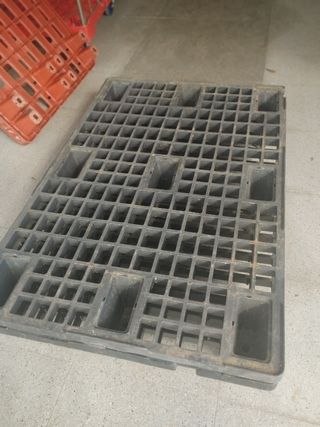 Palets plástico: 8 unid.