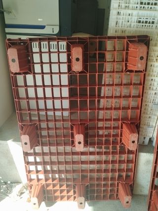 Palets plástico: 8 unid.