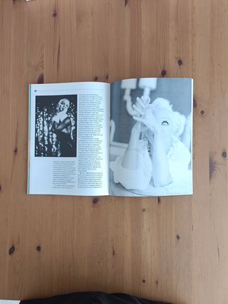 Madonna (Madonna coleccion Imagenes De Rock)