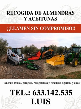 Recolectora  almendras y aceitunas