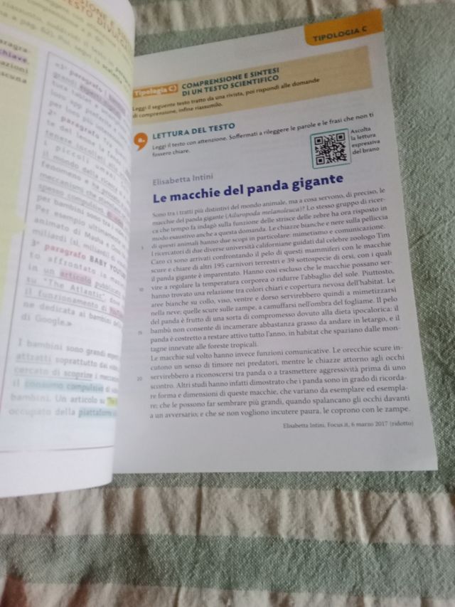 Come Noi Letteratura la vita Strumenti per l'Esame