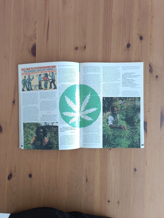 Bob Marley - Positive Vibration (Spanish Edition)