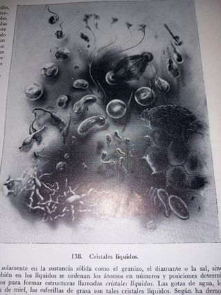 Libro antiguo: El Libro de la Naturaleza