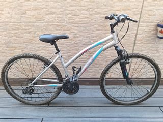 Bicicleta montaña KX de color aluminio